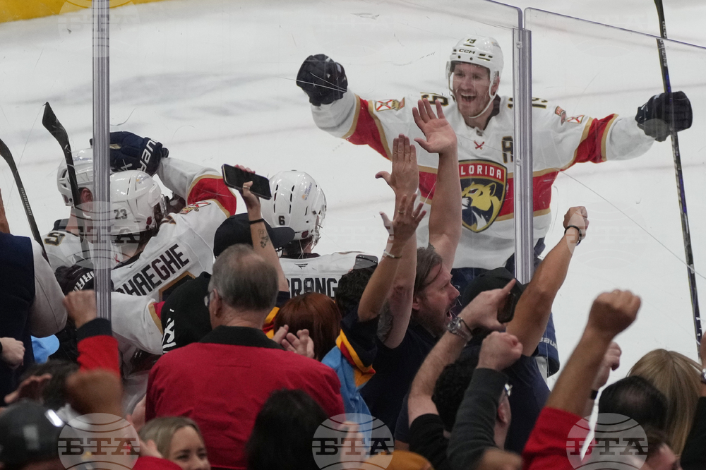 Red Wings Panthers Hockey