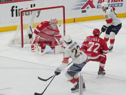 Red Wings Panthers Hockey