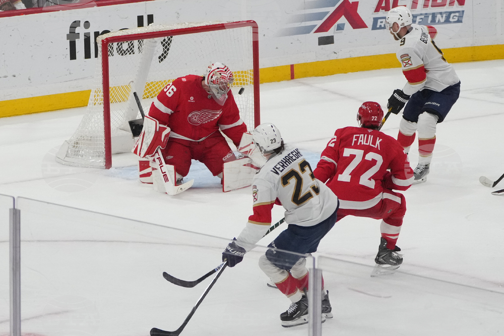 Red Wings Panthers Hockey