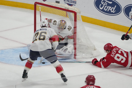 Red Wings Panthers Hockey