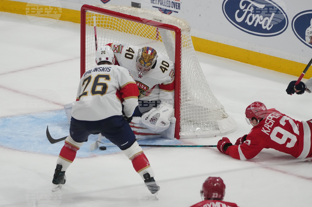 Red Wings Panthers Hockey