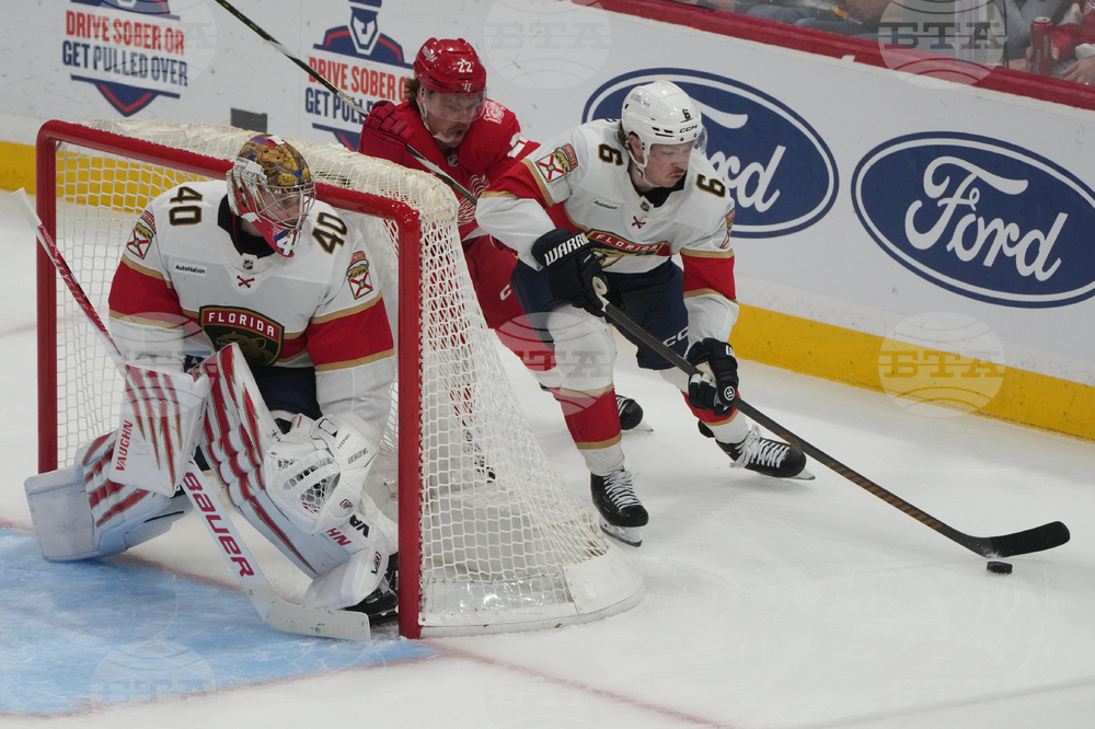Red Wings Panthers Hockey