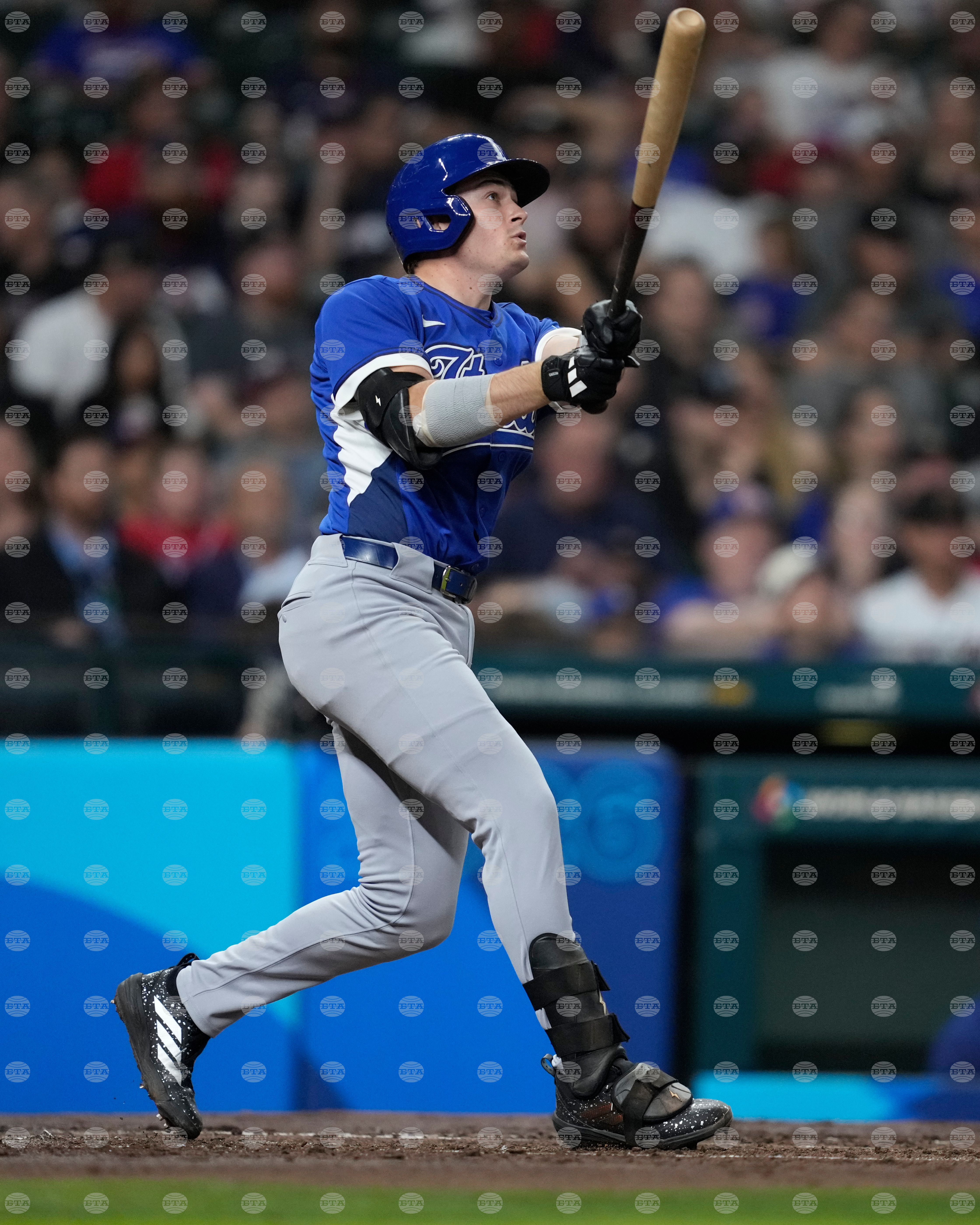 WBC Italy United States Baseball