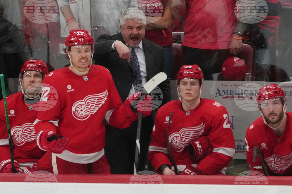 Red Wings Panthers Hockey