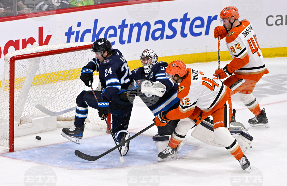 Ducks Jets Hockey
