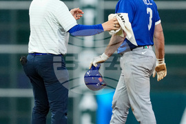 WBC Italy United States Baseball