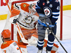 Ducks Jets Hockey