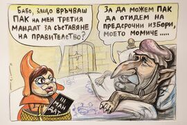 СБХ - награди - изложба