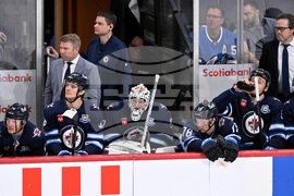 Ducks Jets Hockey