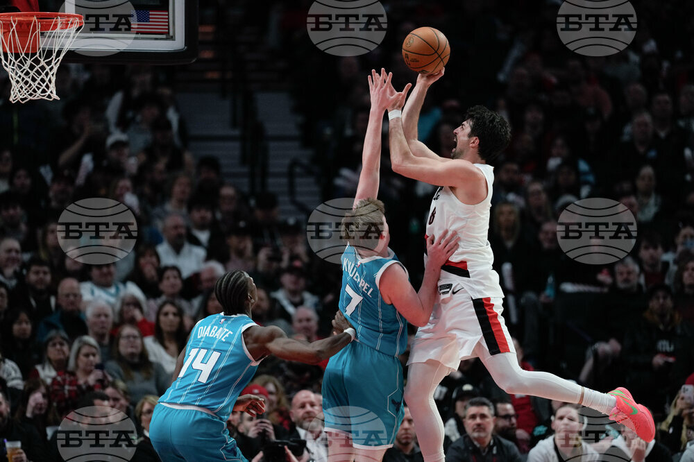 Hornets Trail Blazers Basketball