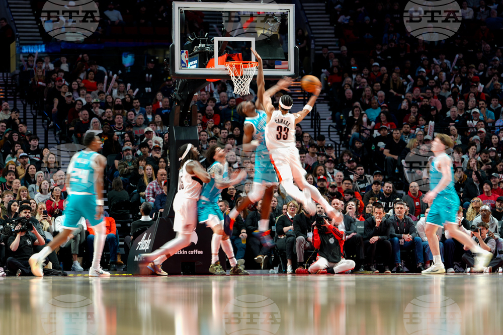 Hornets Trail Blazers Basketball