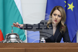 Народно събрание - заседание