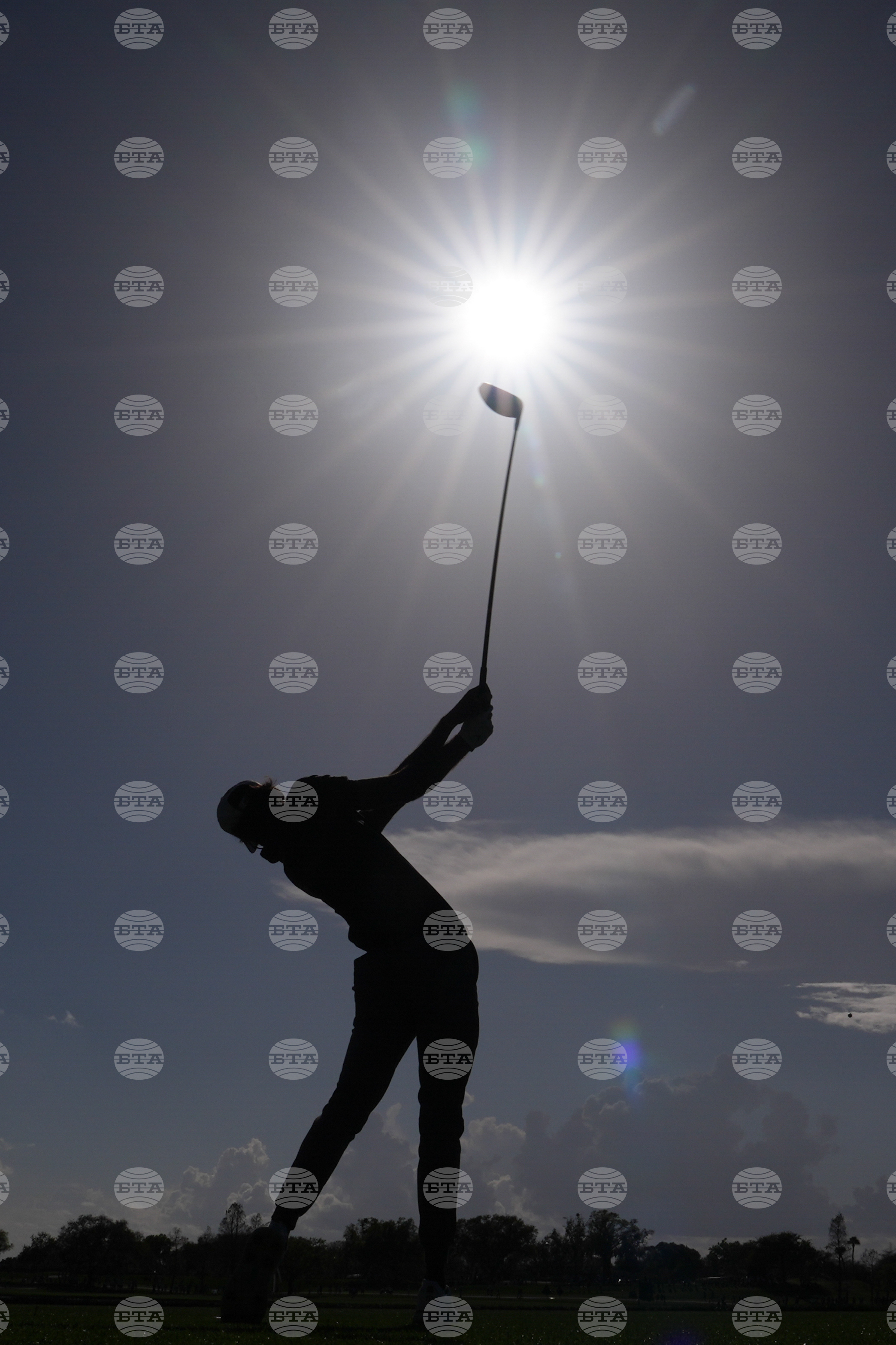 Top Vertical Photos Photo Gallery