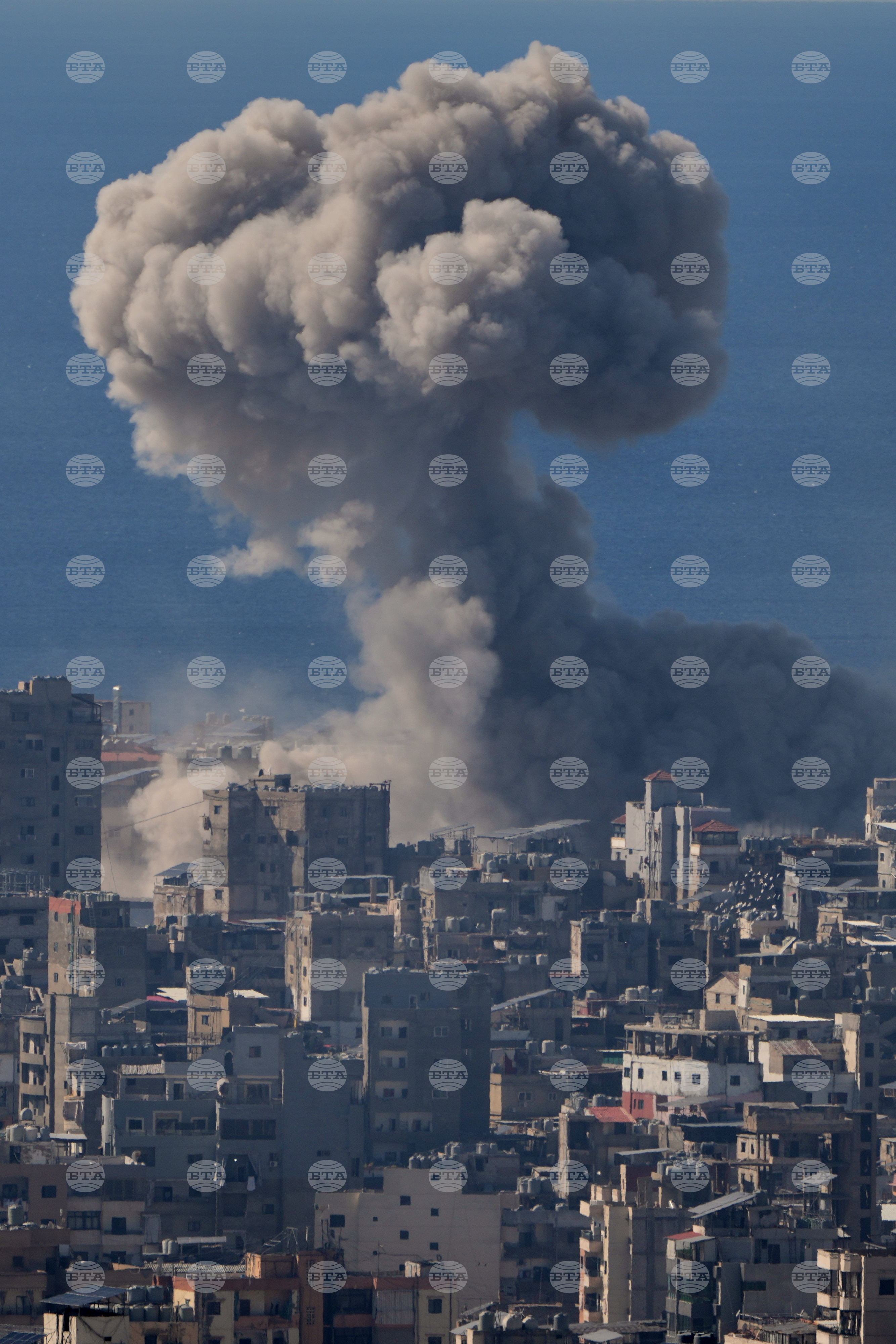 Top Vertical Photos Photo Gallery