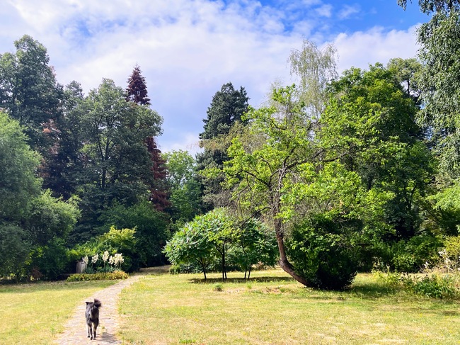 Столична община: Кметът Терзиев предлага София да придобие сградата на Нотариата и централата на СДС на “Раковски”