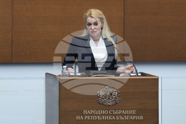 Народно събрание - заседание