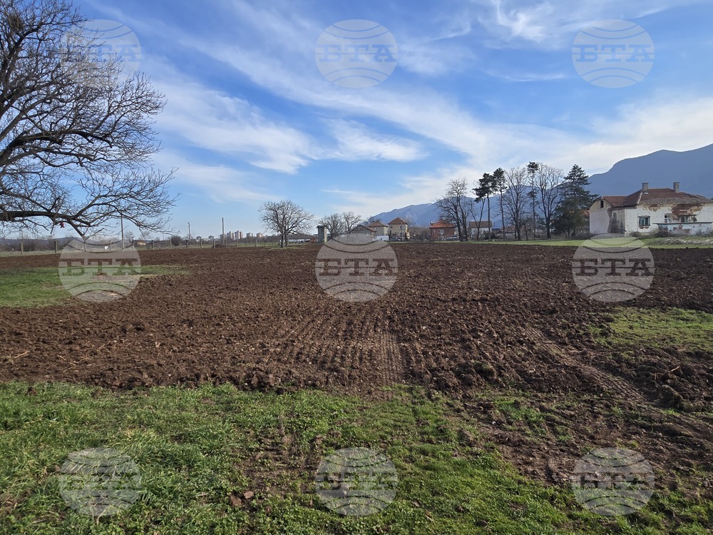 Враца - терен - зеленчуци