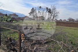 Враца - терен - зеленчуци