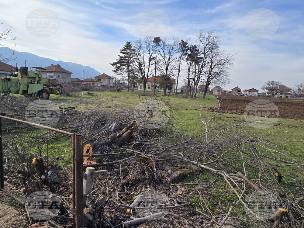 Враца - терен - зеленчуци