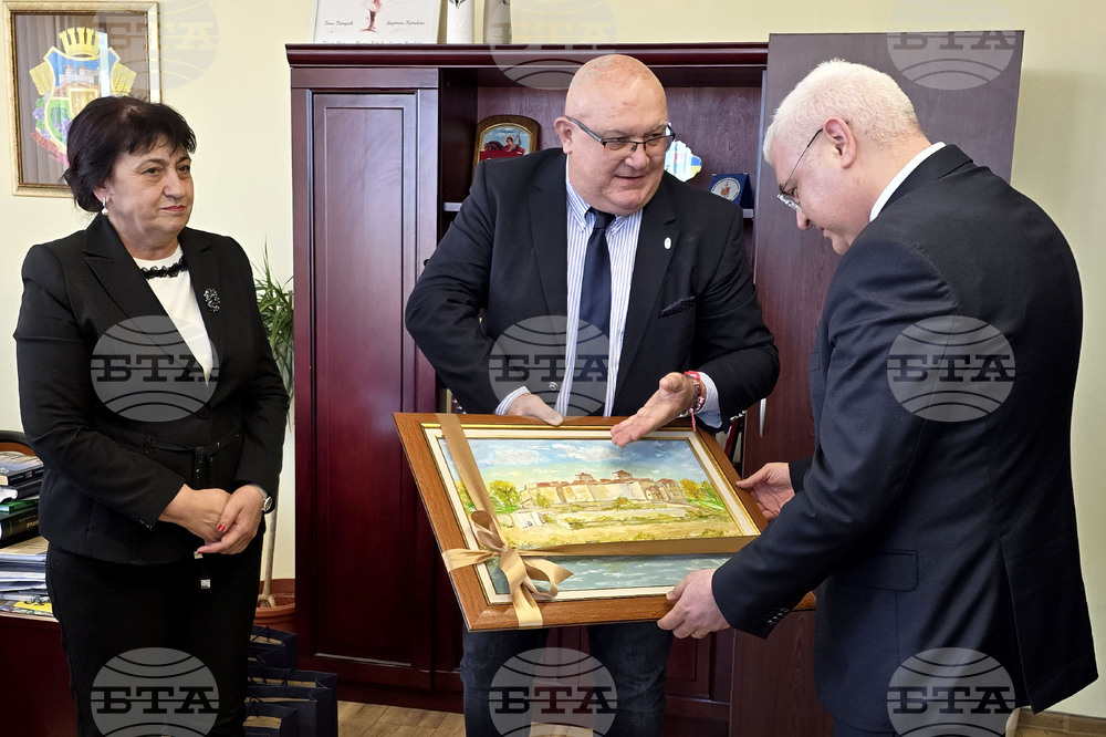 Видин - Турция - посланик - посещение