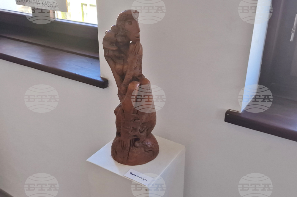 Троян - „Вдъхновения и приятелство в единство“ - изложба