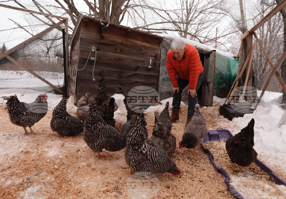 US Tax The Rich States