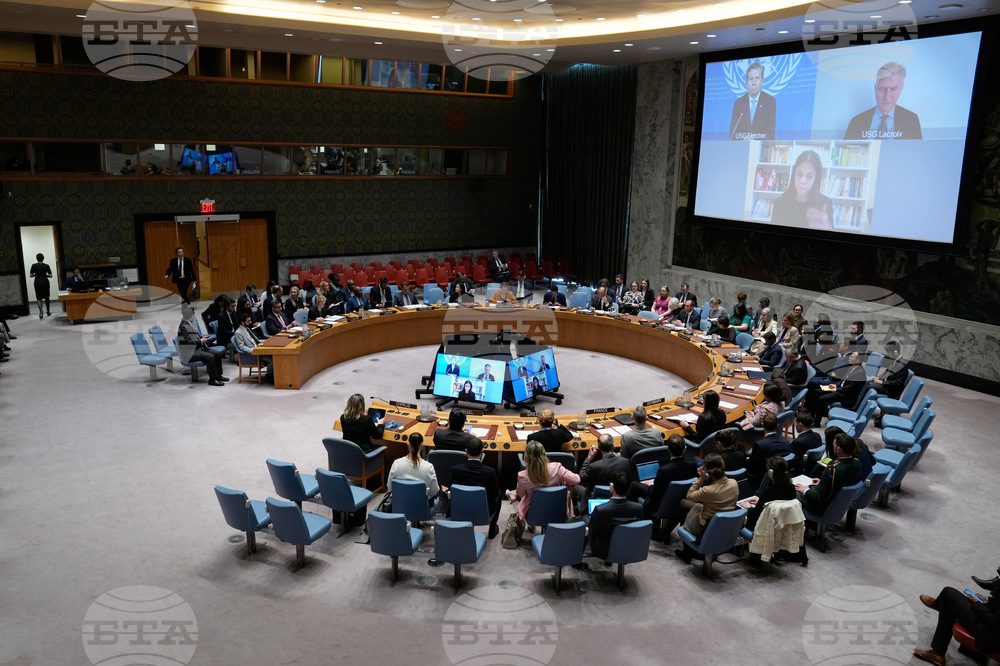 UN Security Council