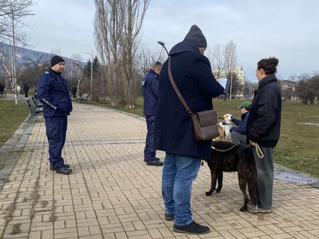 Над 340 проверки на стопани на кучета са извършили служителите на Столичния инспекторат от началото на годината