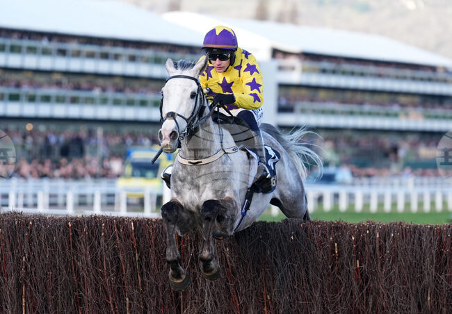 Britain Racing Cheltenham
