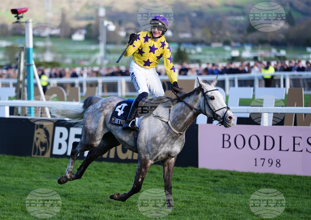 Britain Racing Cheltenham