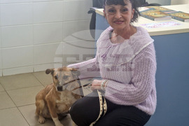 Разград - книга - представяне