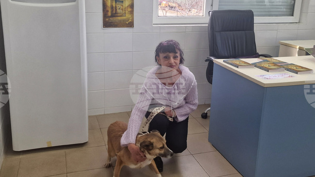 Книгата "Истории от приюта" дава глас на животните и техните послания, казва авторът й Нели Николова