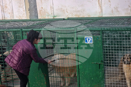 Разград - книга - представяне