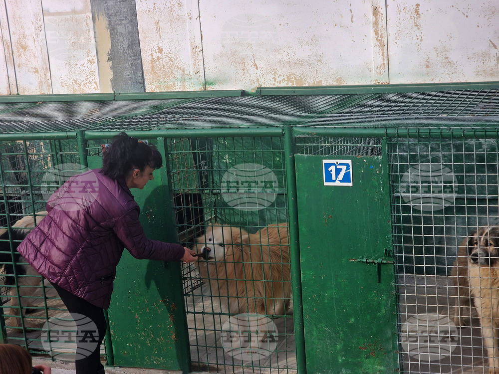 Разград - книга - представяне
