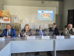 Стрелча - Априлско въстание - дискусия