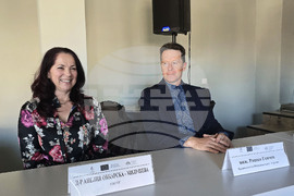 Стрелча - Априлско въстание - дискусия