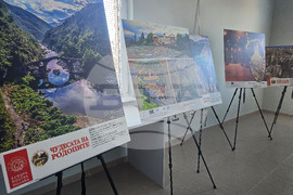 Стрелча - Априлско въстание - дискусия