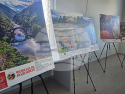 Стрелча - Априлско въстание - дискусия