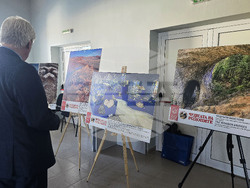 Стрелча - Априлско въстание - дискусия