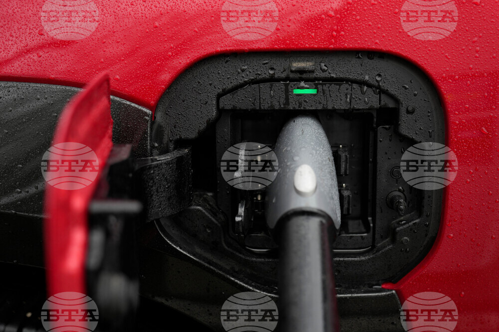 Climate Oil Prices Electricity