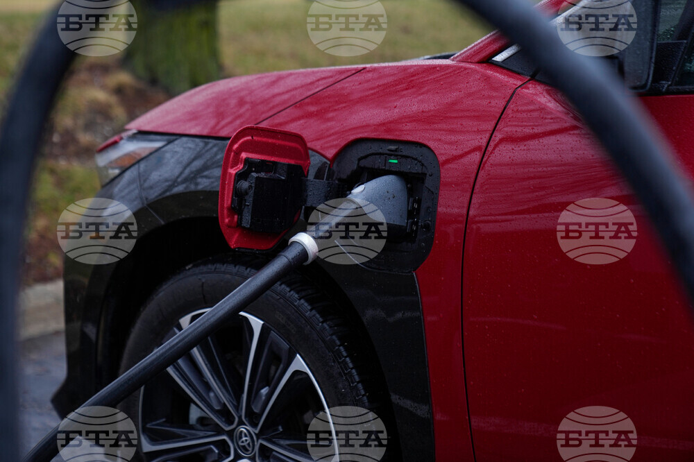 Climate Oil Prices Electricity