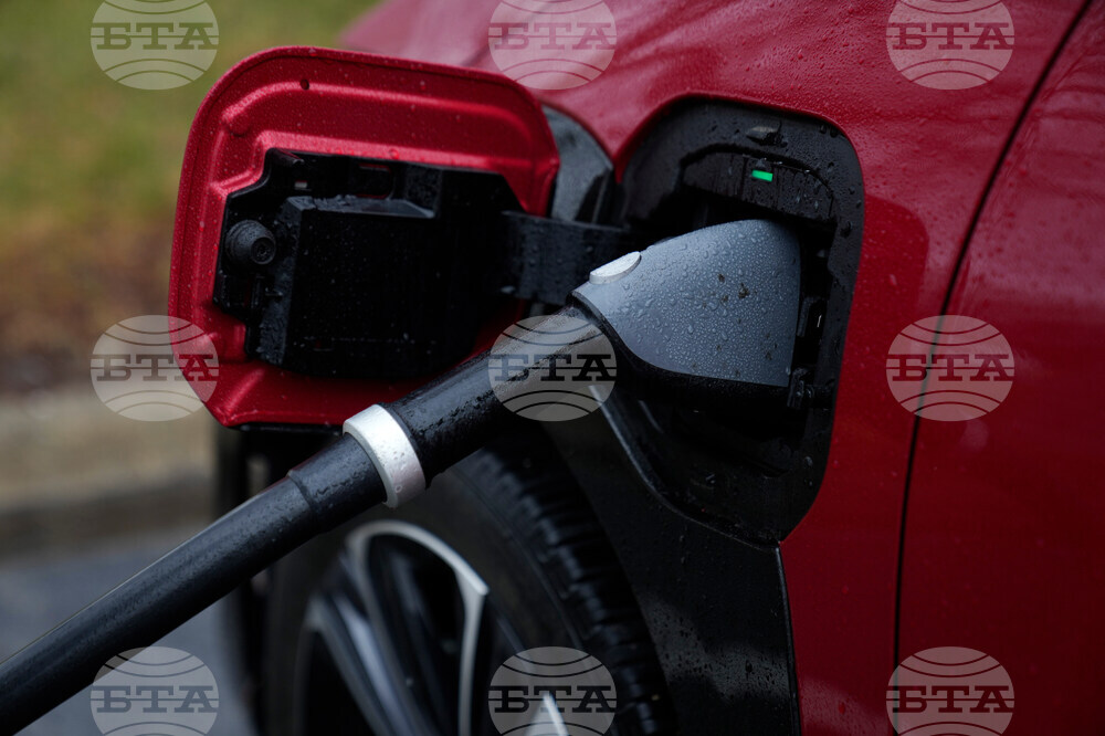 Climate Oil Prices Electricity