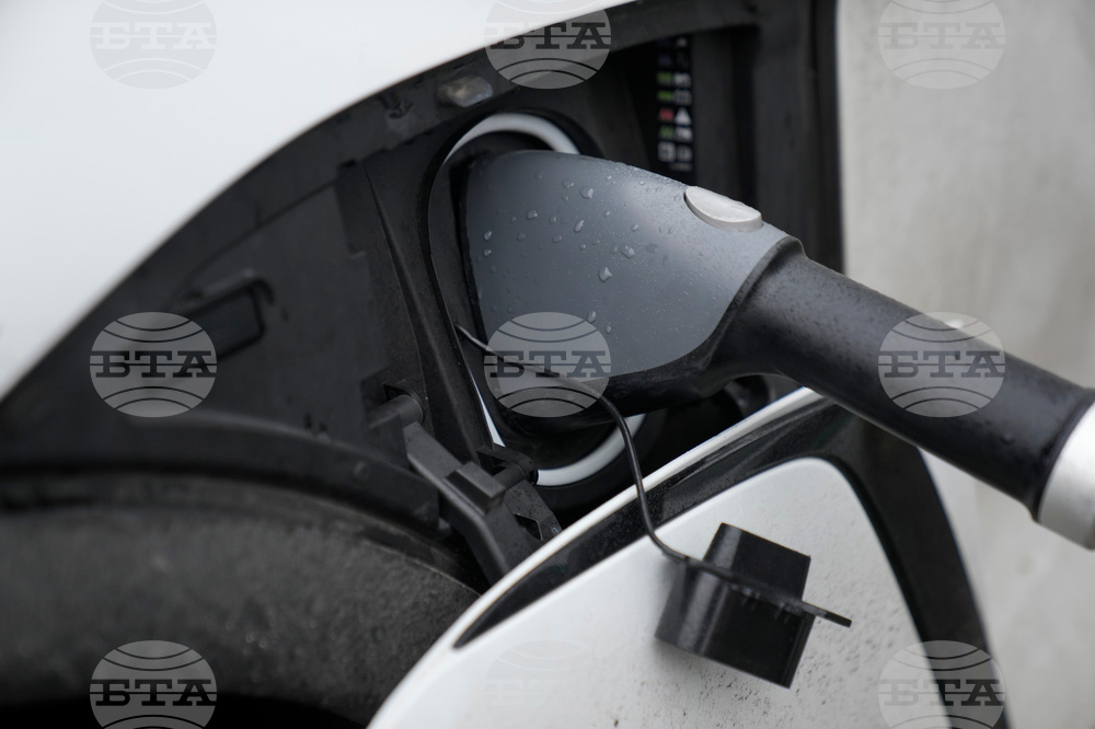 Climate Oil Prices Electricity