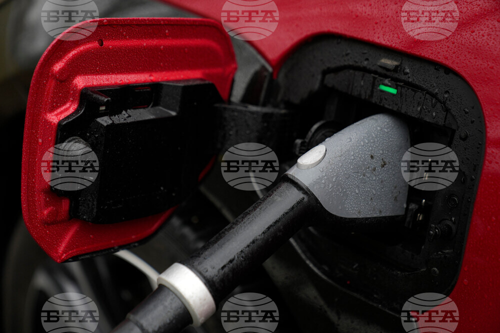 Climate Oil Prices Electricity