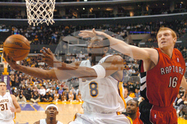 Kobe 81 Anniversary Basketball