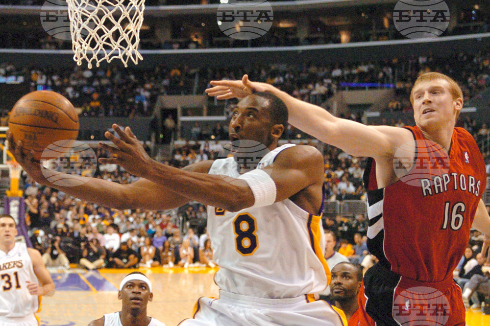 Kobe 81 Anniversary Basketball