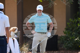 Players Championship Golf