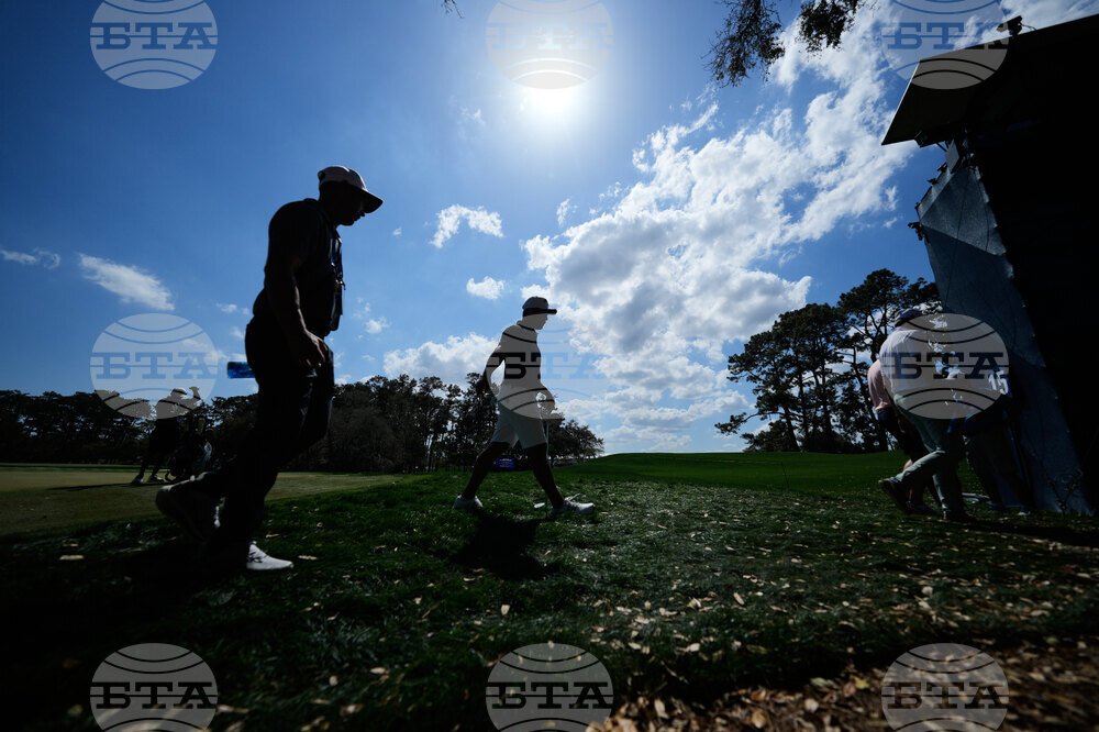 Players Championship Golf