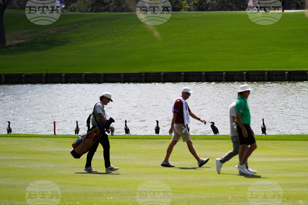 Players Championship Golf