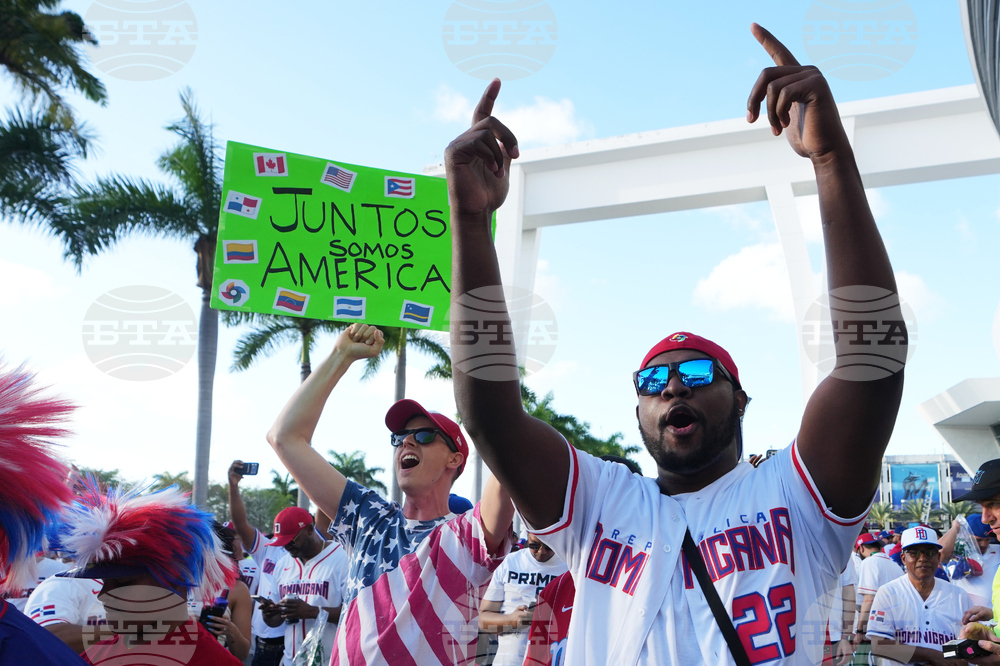 WBC Dominican Republic Venezuela Baseball